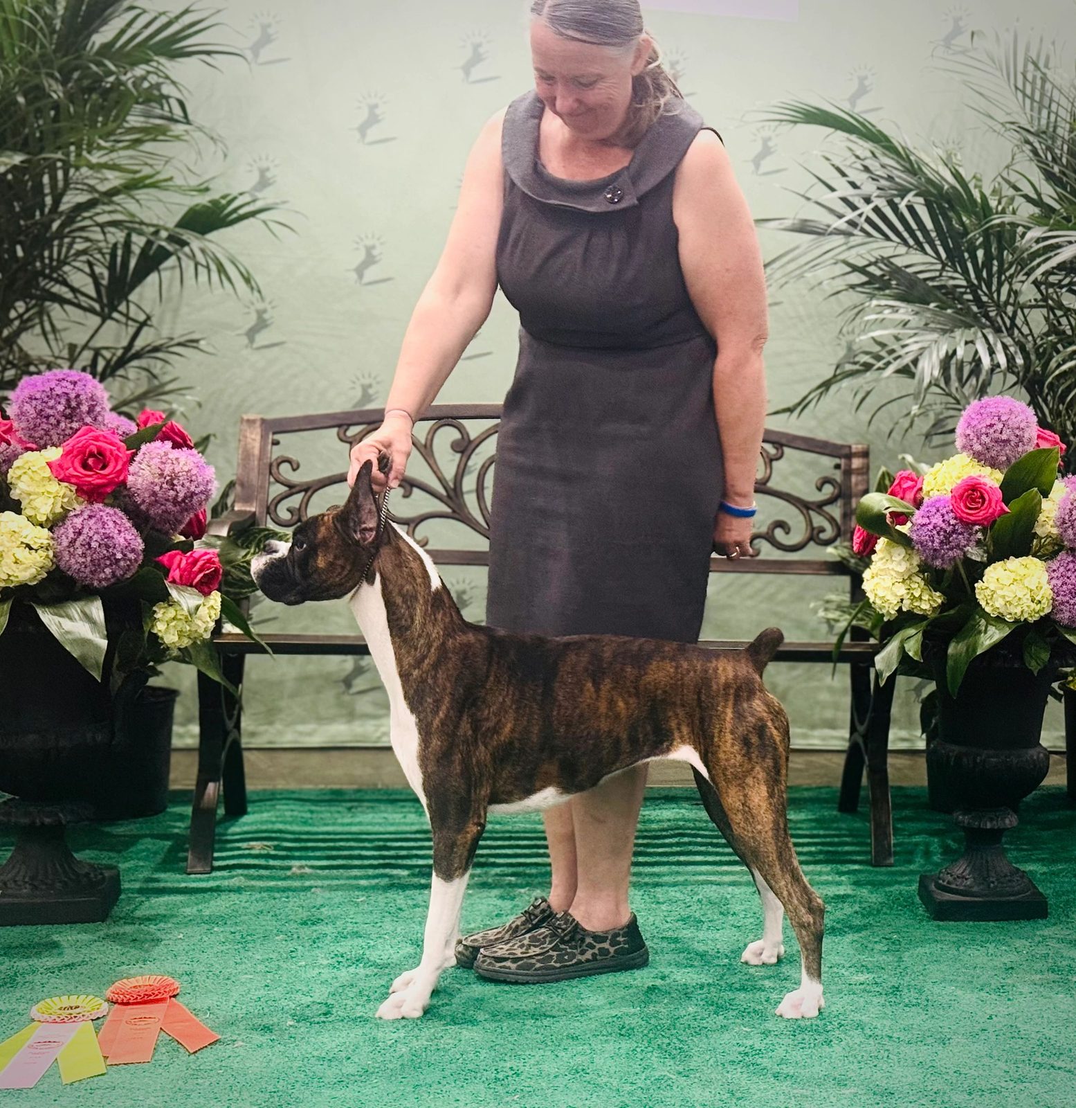 Pepper — Rams Destined To Wynn, RAM BOXERS brindle Boxer
