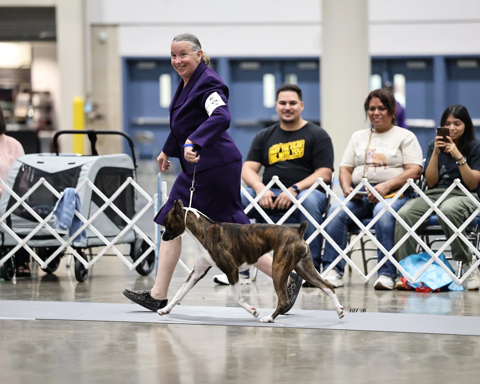 Pepper — Rams Destined To Wynn, RAM BOXERS brindle Boxer